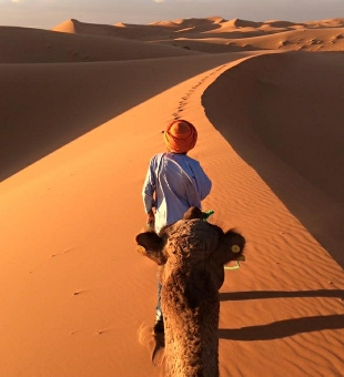 Fez private tour,Sahara Morocco desert excursion,Fez and Morocco everyday tours
