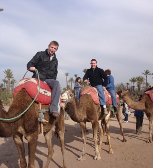 Marrakech activities,Marrakech private excursion,guided Marrakesh day trips