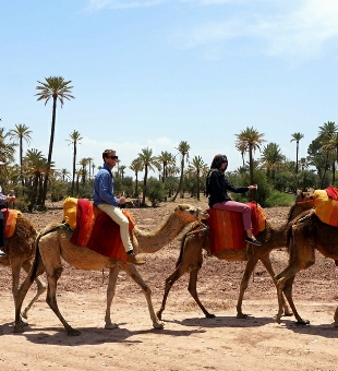 Marrakech activities,Marrakech private excursion,guided Marrakesh day trips