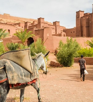 Marrakech day trip,Marrakech private excursion,guided Marrakesh travel